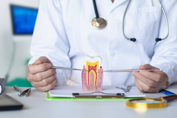 Best Emergency Dental Care for Abscessed Tooth in Acworth, GA